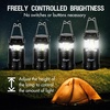 PORTAL 4 Pack Collapsible Camping Lantern, Portable Camping Lights for Power Outages, COB Lamp Battery Powered for Tent, Pop Up Camp Lantern for Hiking, Hurricane, Emergency, (Batteries Included)