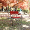 Portal Directors Chair Camping Chairs for Adults with Side Table Folding Lawn Chairs for Adults, Directors Chairs Foldable for Outdoor Chairs for Beach, Travel, Heavy Duty Supports 300LBS, Blue/Grey(Red)